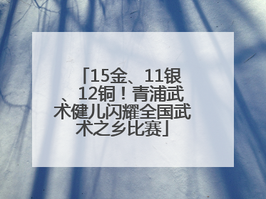 15金、11银、12铜！青浦武术健儿闪耀全国武术之乡比赛