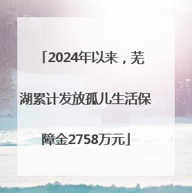 2024年以来，芜湖累计发放孤儿生活保障金2758万元