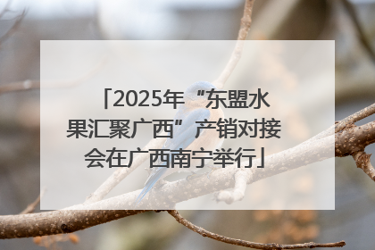 2025年“东盟水果汇聚广西”产销对接会在广西南宁举行
