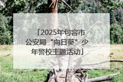 2025年句容市公安局“向日葵”少年警校主题活动