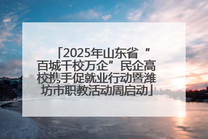 2025年山东省“百城千校万企”民企高校携手促就业行动暨潍坊市职教活动周启动