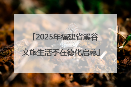 2025年福建省溪谷文旅生活季在德化启幕