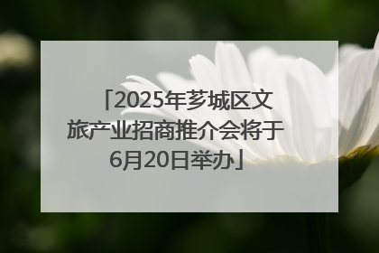 2025年芗城区文旅产业招商推介会将于6月20日举办