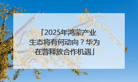 2025年鸿蒙产业生态将有何动向？华为在蓉释放合作机遇