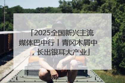 2025全国新兴主流媒体巴中行丨青冈木屑中，长出银耳大产业