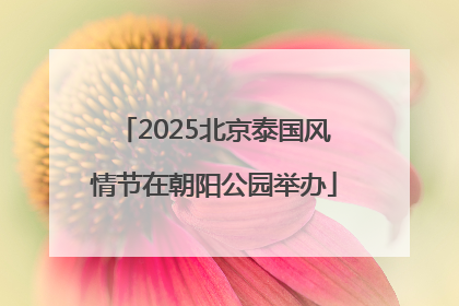 2025北京泰国风情节在朝阳公园举办