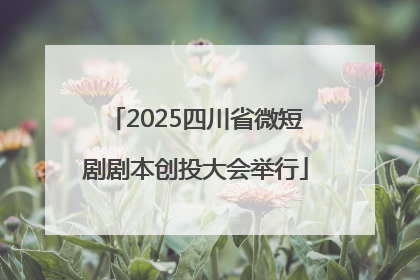 2025四川省微短剧剧本创投大会举行