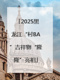 2025黑龙江“村BA”吉祥物“隆隆”亮相