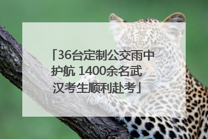 36台定制公交雨中护航 1400余名武汉考生顺利赴考