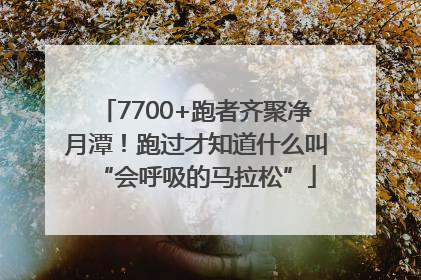 7700+跑者齐聚净月潭！跑过才知道什么叫“会呼吸的马拉松”