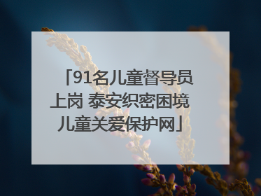 91名儿童督导员上岗 泰安织密困境儿童关爱保护网
