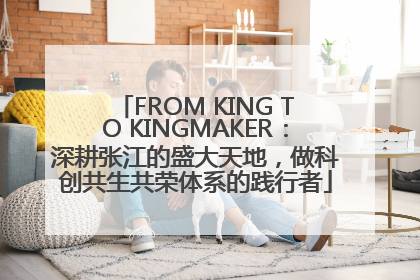 FROM KING TO KINGMAKER：深耕张江的盛大天地，做科创共生共荣体系的践行者