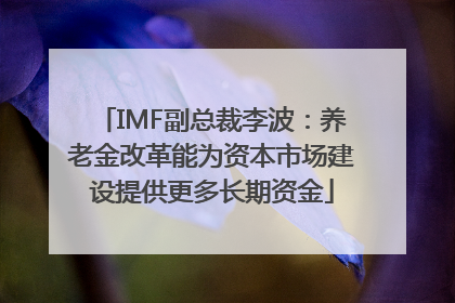 IMF副总裁李波：养老金改革能为资本市场建设提供更多长期资金