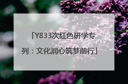 Y833次红色研学专列：文化润心筑梦前行